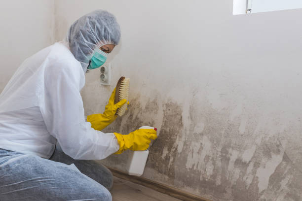 Best Water Damage & Mold Remediation  in Laurinburg, NC
