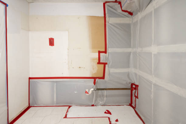 Best Mold Remediation for Healthcare Facilities  in Laurinburg, NC